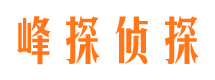 平湖捉小三公司